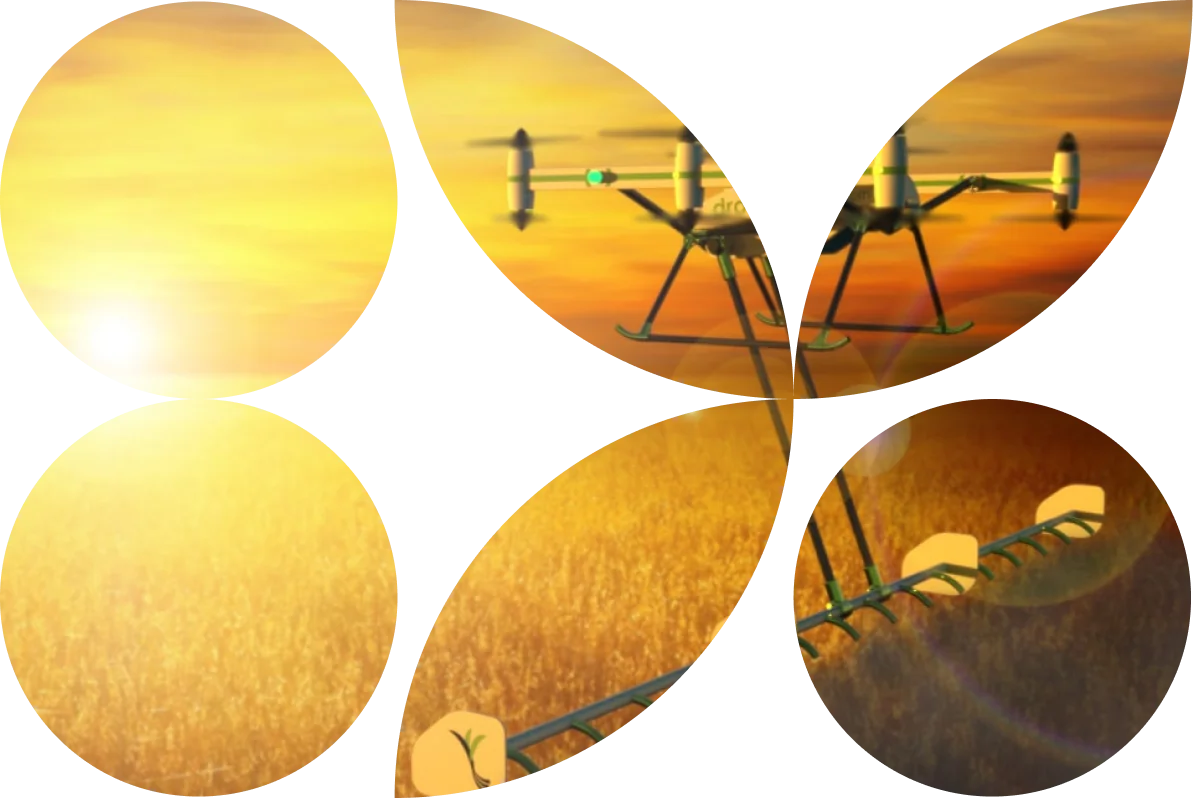 kernel-photo